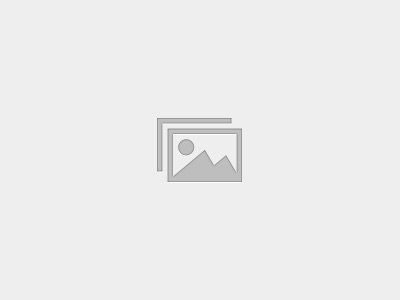 Alzheimer's Disease: A Comprehensive Guide for